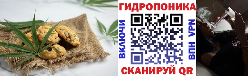 Cannafood конопля  Киселёвск 