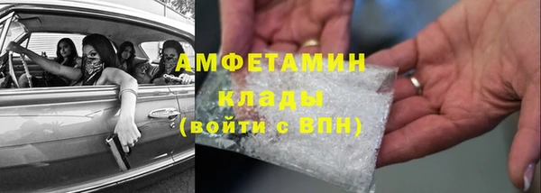 прущие грибы Няндома