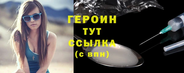 прущие грибы Няндома