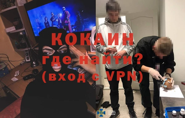 СК Новозыбков