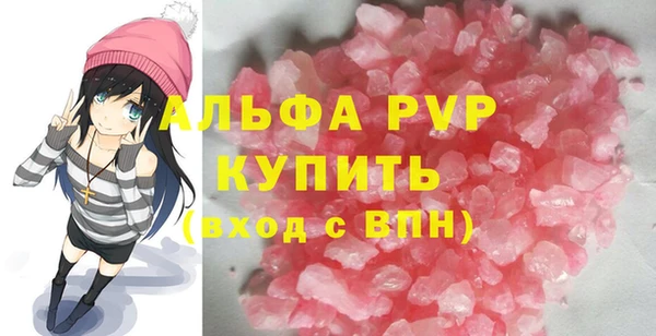 СК Новозыбков