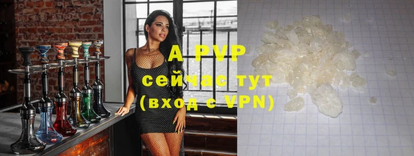 прущие грибы Няндома