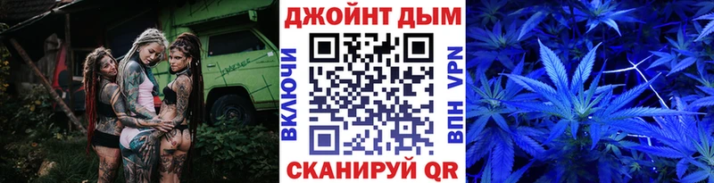 где найти наркотики  Киселёвск  Канабис OG Kush 